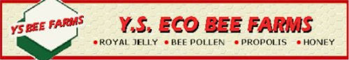 YSECOBEEFARMS